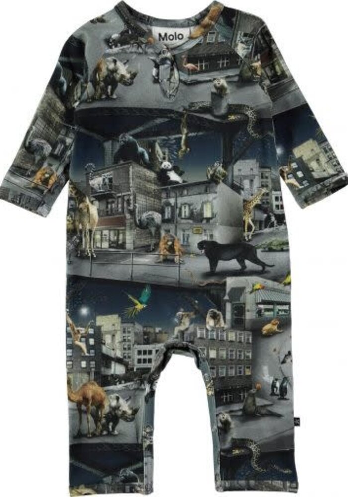 Molo Fleming Zoo Rebellion