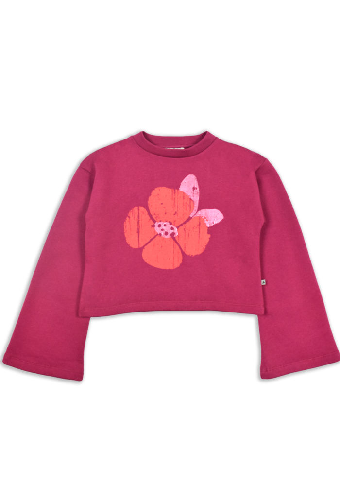 Ammehoela AM-Mae-04 Plum-Berry