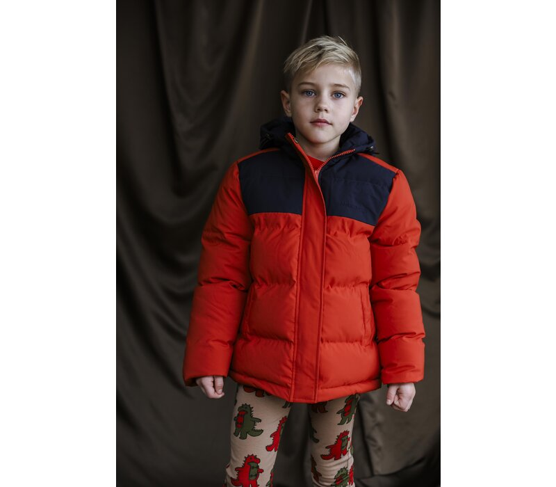 Ammehoela AM-Xavi-07 Navy-Dark-Cheddar