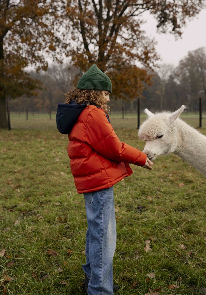 Ammehoela AM-Xavi-07 Navy-Dark-Cheddar