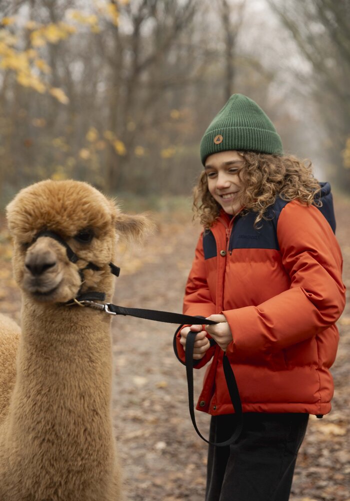 Ammehoela AM-Xavi-07 Navy-Dark-Cheddar