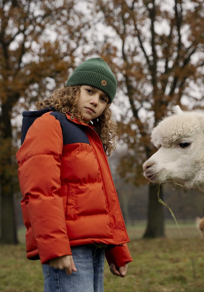 Ammehoela AM-Xavi-07 Navy-Dark-Cheddar