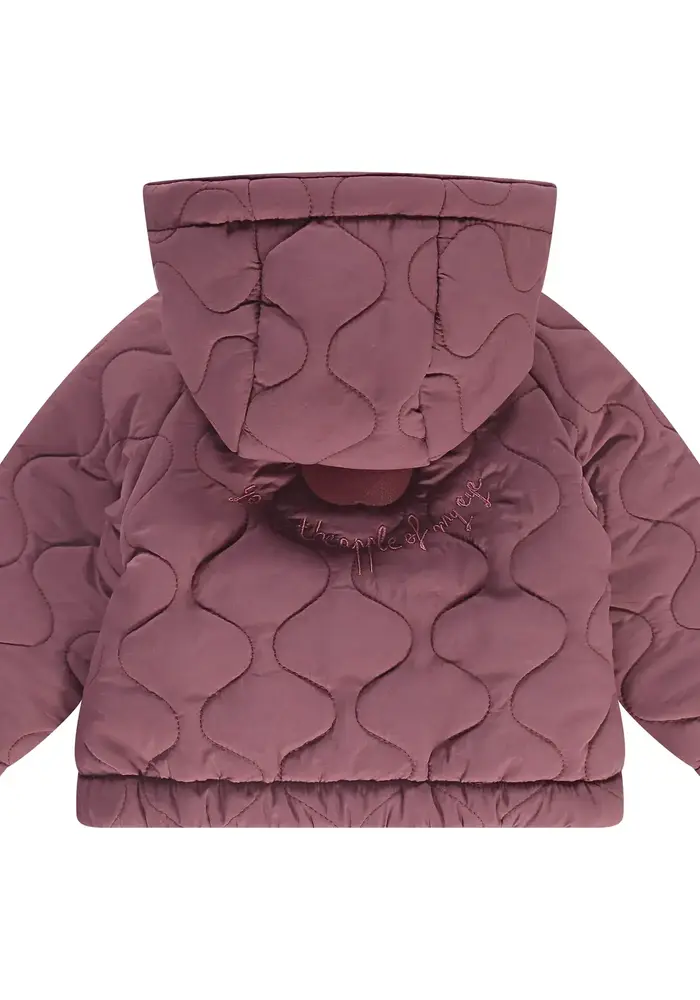 Babyface girls jacket purple