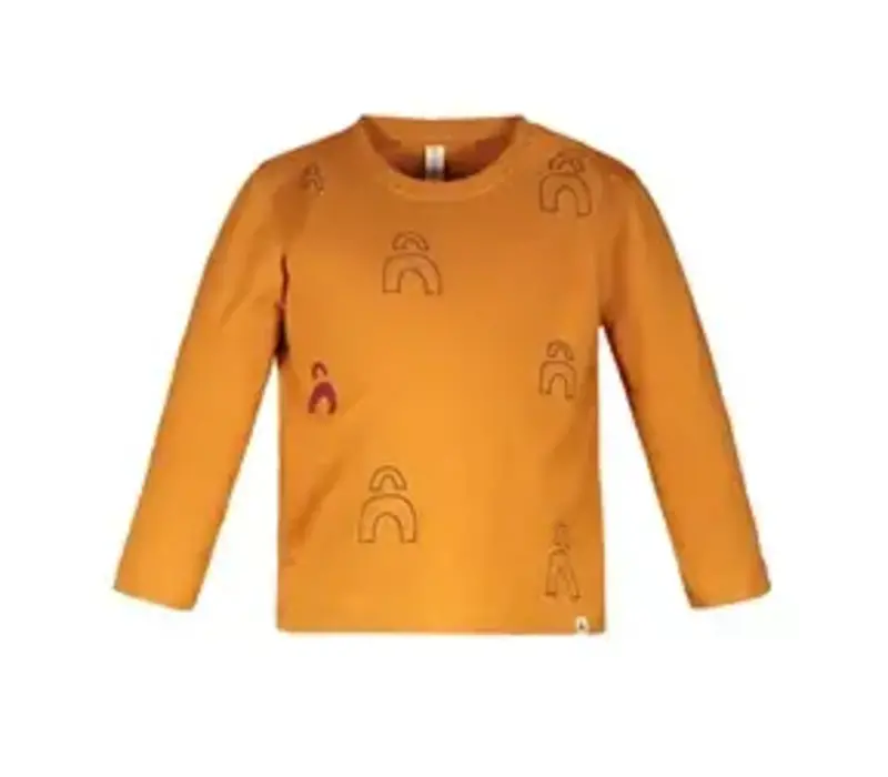 The New Chapter1 Ls t-shirt with logo panel print Caramel