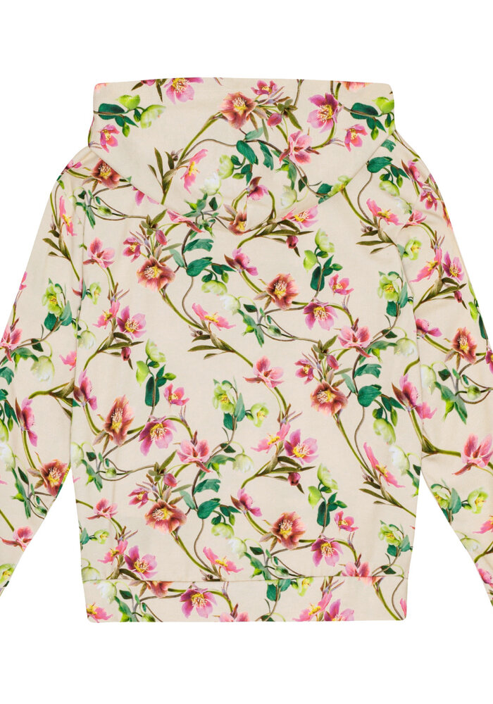 Molo Rhona Hellebore