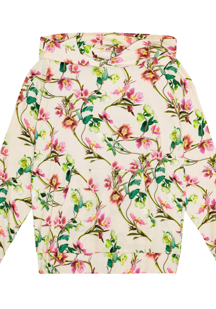 Molo Rhona Hellebore