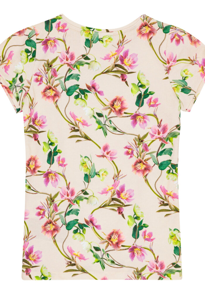 Molo Rimona Hellebore