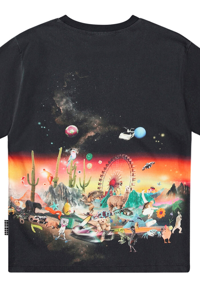 Molo Rodney All Things