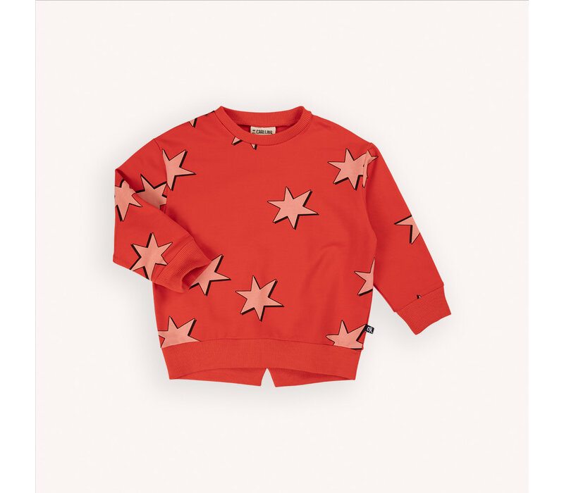 CarlijnQ Stars - girls sweater with split