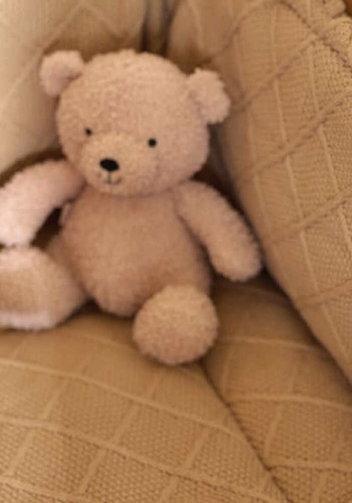 Jollein Knuffel Teddy Bear Wild Rose