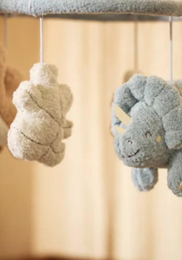 Jollein Baby Mobiel Roarsome