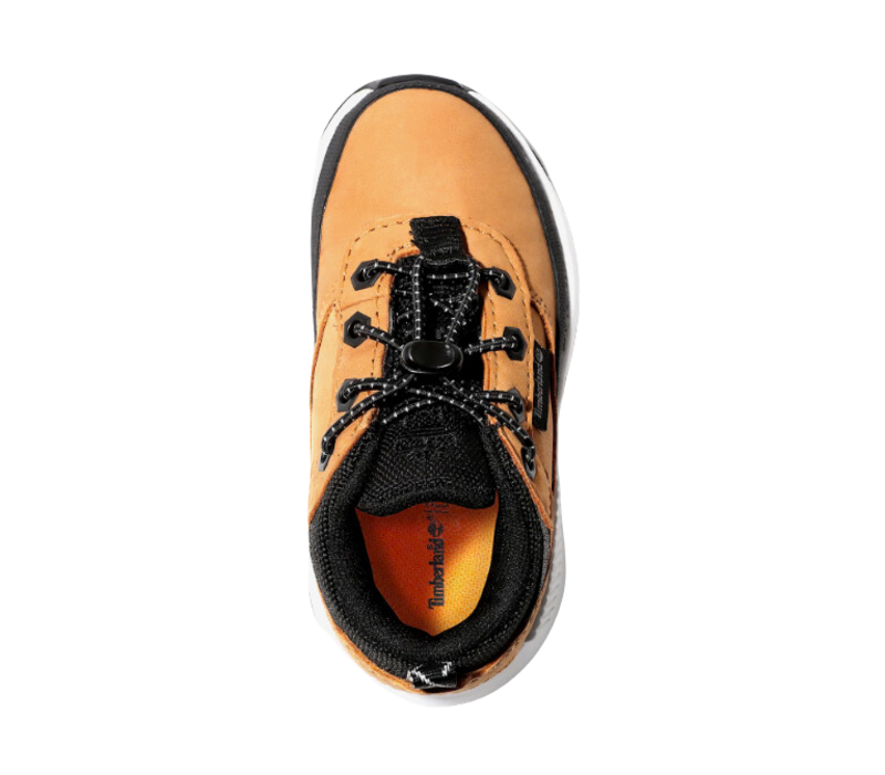 Timberland Field Trekker LOW LACE UP SNEAKER WHEAT