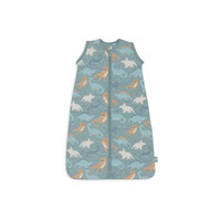 Jollein Baby Slaapzak met Afritsbare Mouw - Roarsome