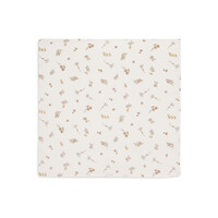 Jollein Hydrofiel Multi Doek Small 70x70 Riverside (3-pack)