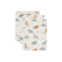 Jollein Washandje Hydrofiel Roarsome  (2 pack)
