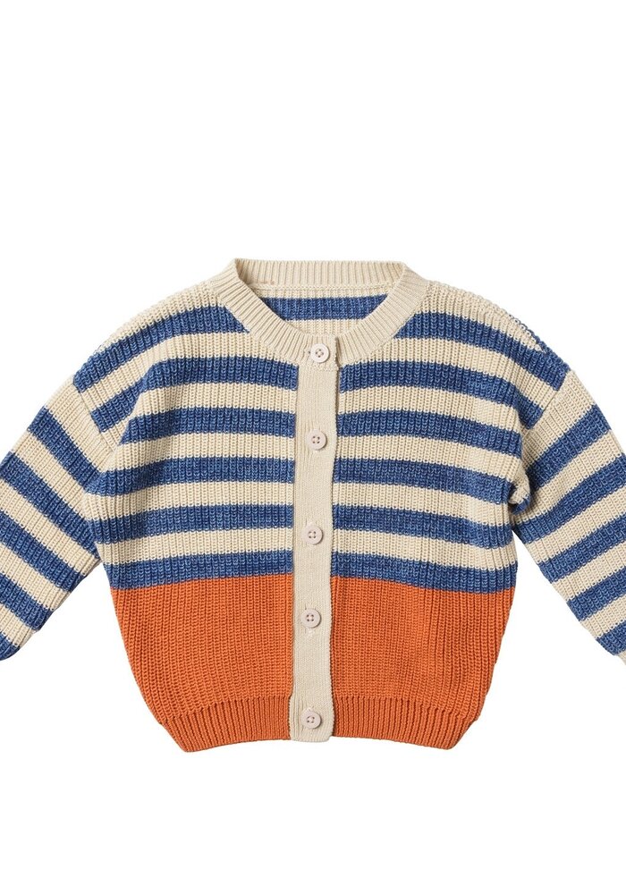 Your Wishes Stripe Knit | Relaxed Cardigan Multicolor