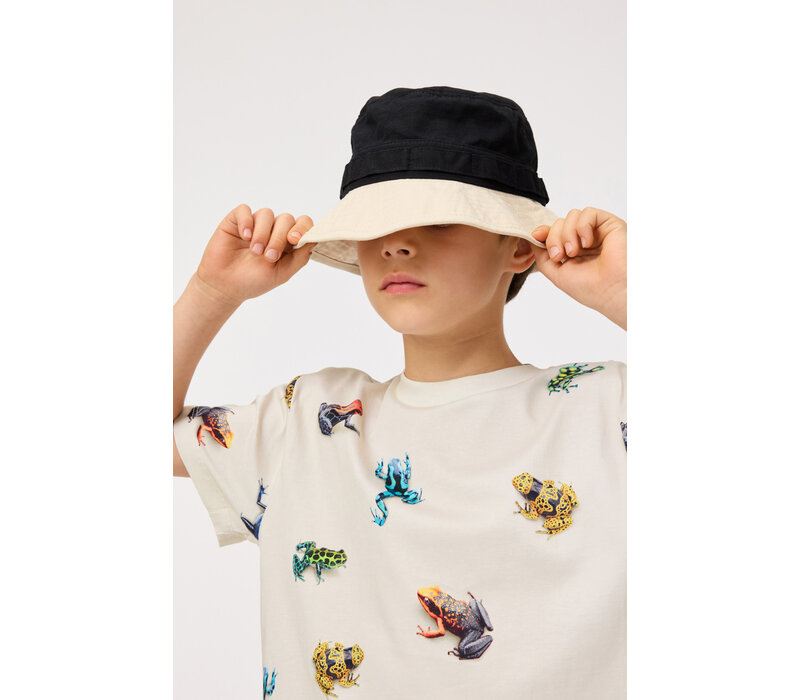 Molo Roxo Vibrant Frogs