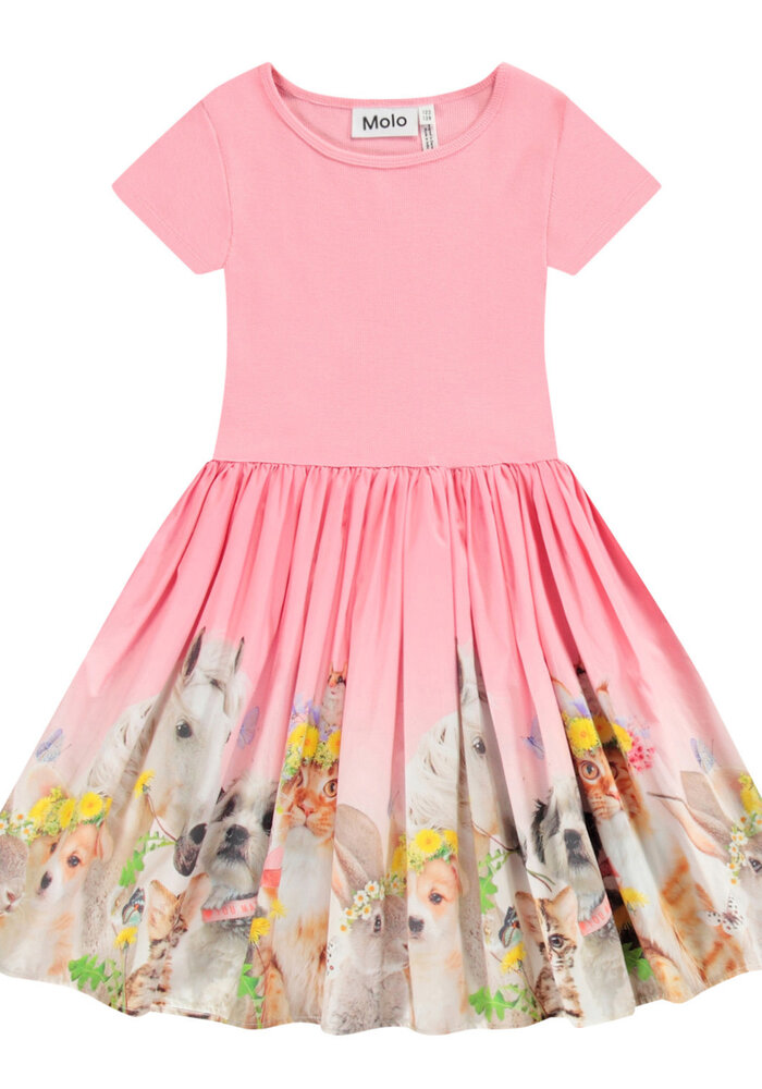 Molo Cissa Midsummer