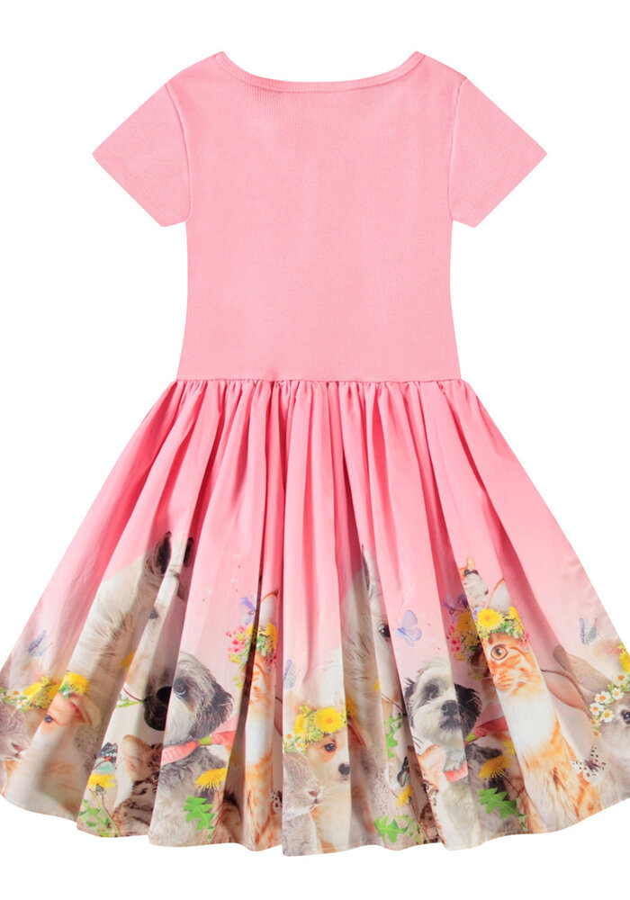 Molo Cissa Midsummer