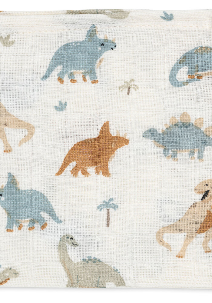 Jollein Hydrofiel monddoekjes Roarsome (3pack)