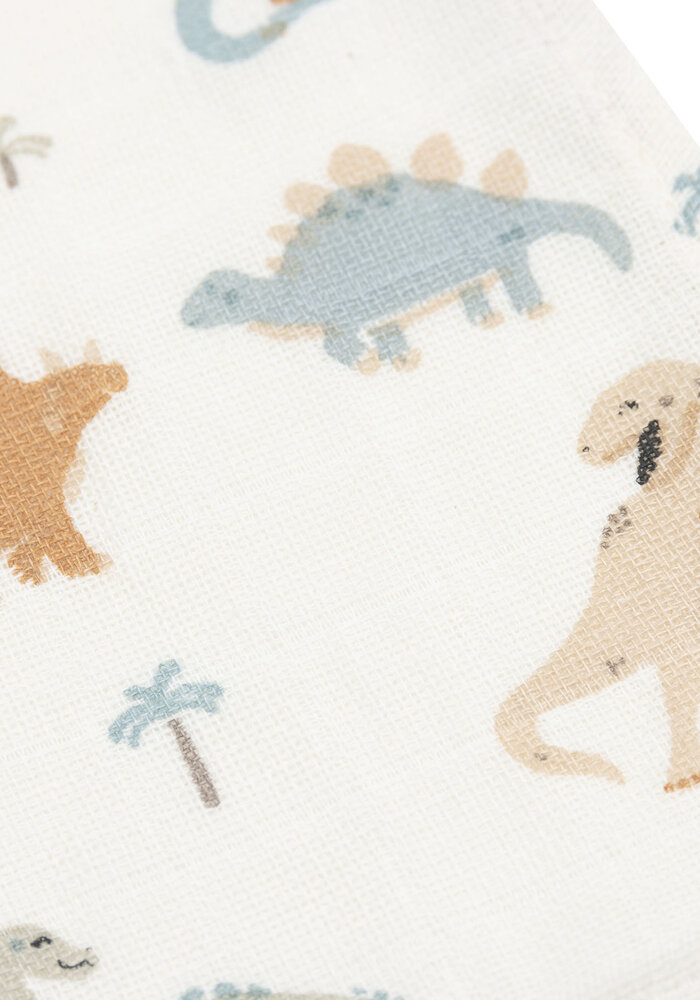 Jollein Hydrofiel monddoekjes Roarsome (3pack)