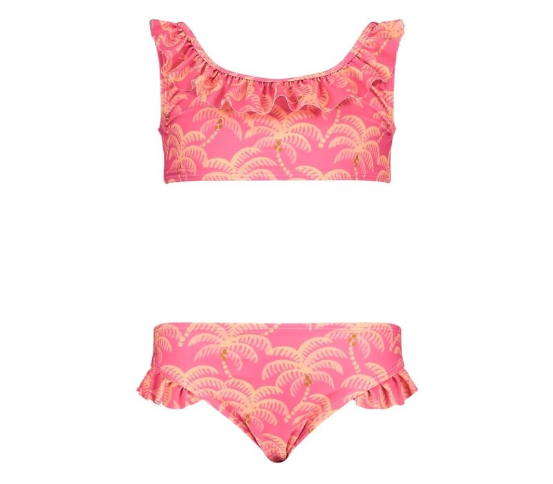 Jubel Bikini AOP - Samba Shake Roze