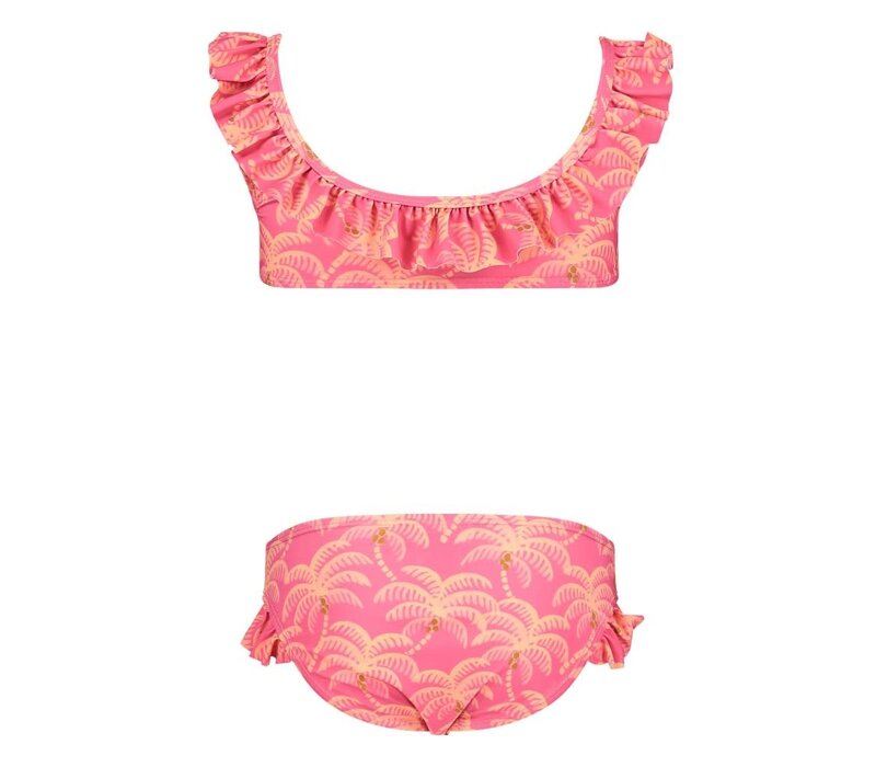 Jubel Bikini AOP - Samba Shake Roze