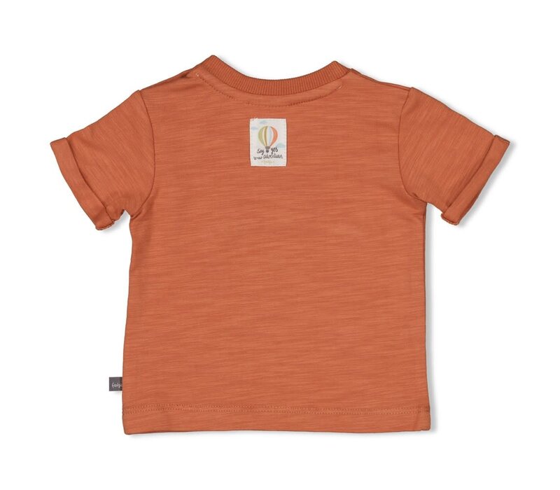 Feetje T-shirt - Mini Adventurer Brique