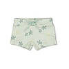 Feetje Zwembroekje AOP - Turtelly Cool Mint