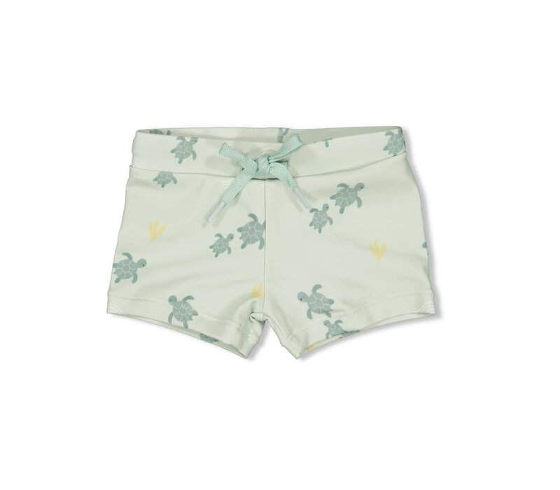 Feetje Zwembroekje AOP - Turtelly Cool Mint