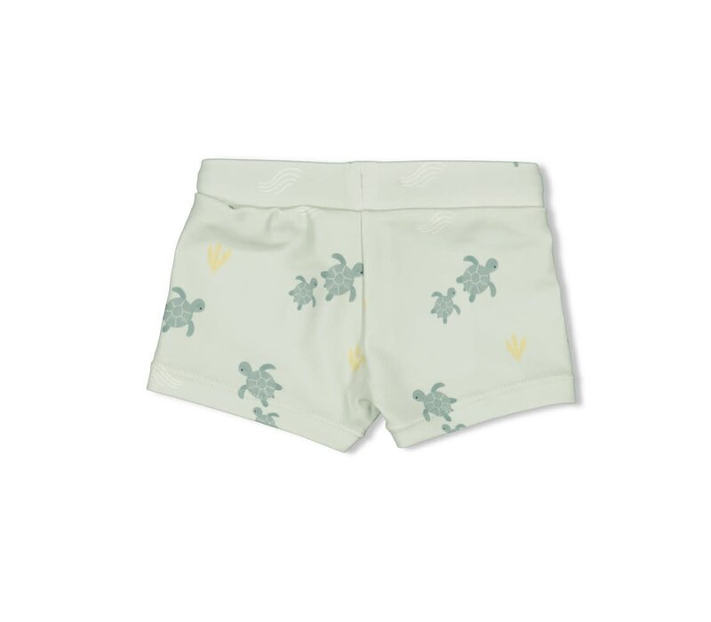 Feetje Zwembroekje AOP - Turtelly Cool Mint