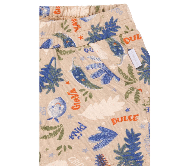 Noppies Boys Short Othon Fruit pattern