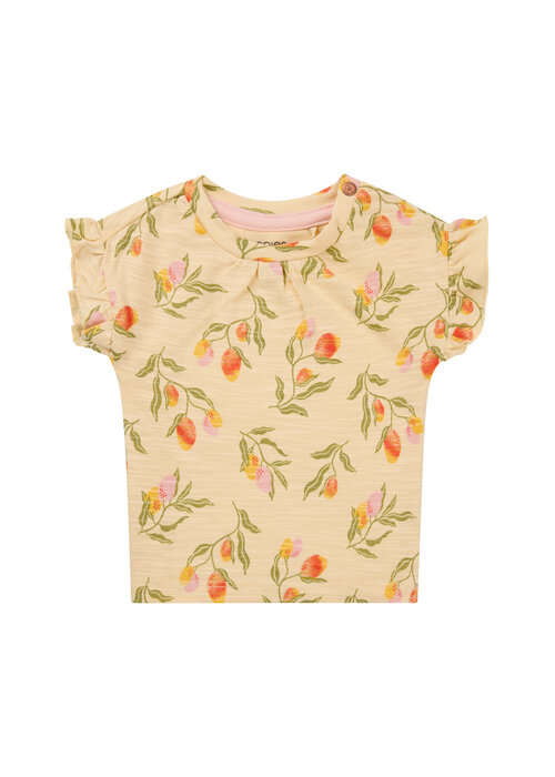 Noppies Noppies Girls Tee Moraga short sleeve Fruit pattern