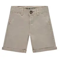Stains and Stories boys short stone