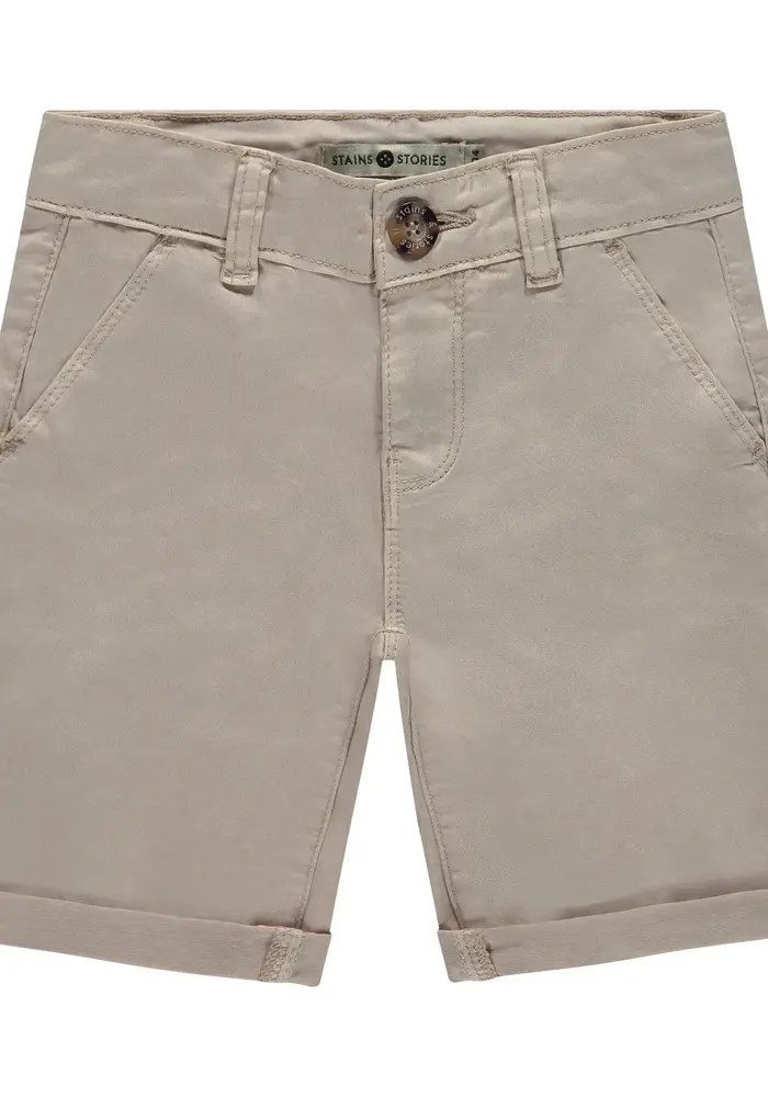 Stains and Stories boys short stone