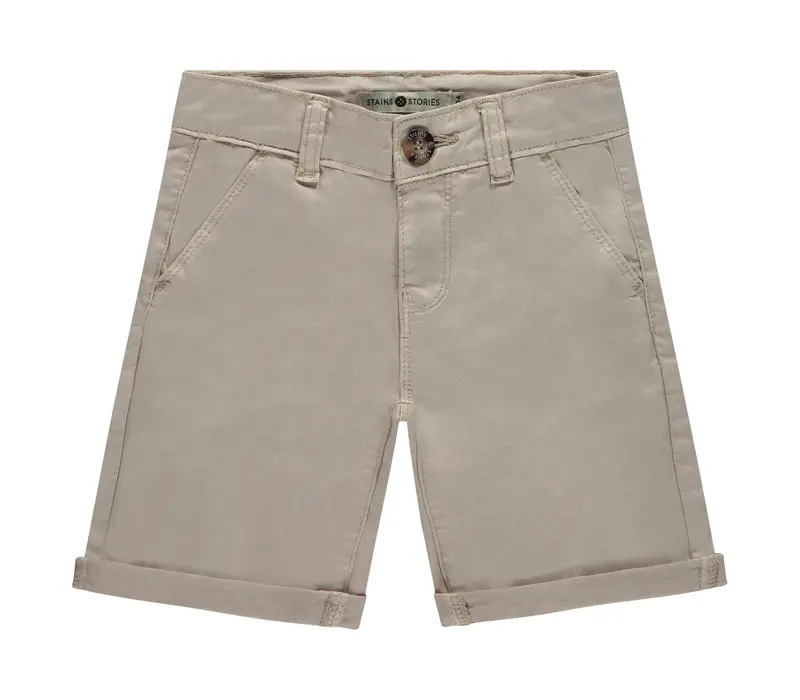 Stains and Stories boys short stone