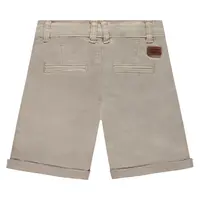 Stains and Stories boys short stone