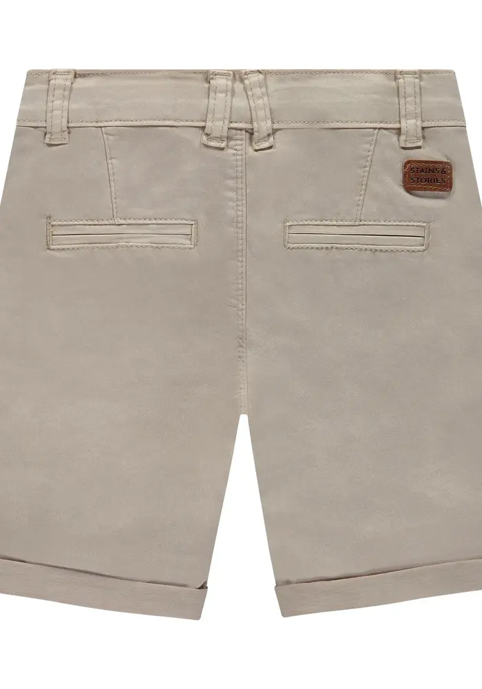 Stains and Stories boys short stone