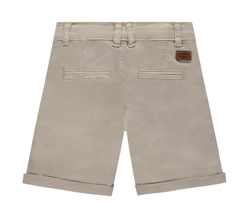 Stains and Stories boys short stone