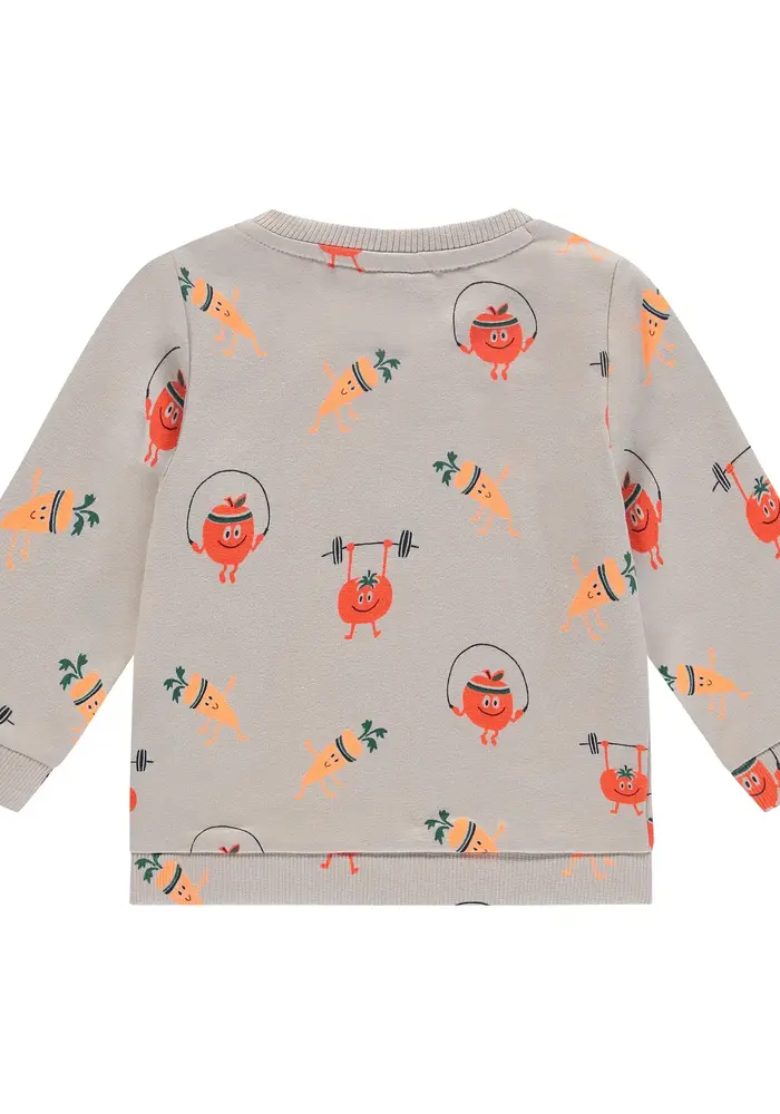 Babyface baby boys sweat shirt bone