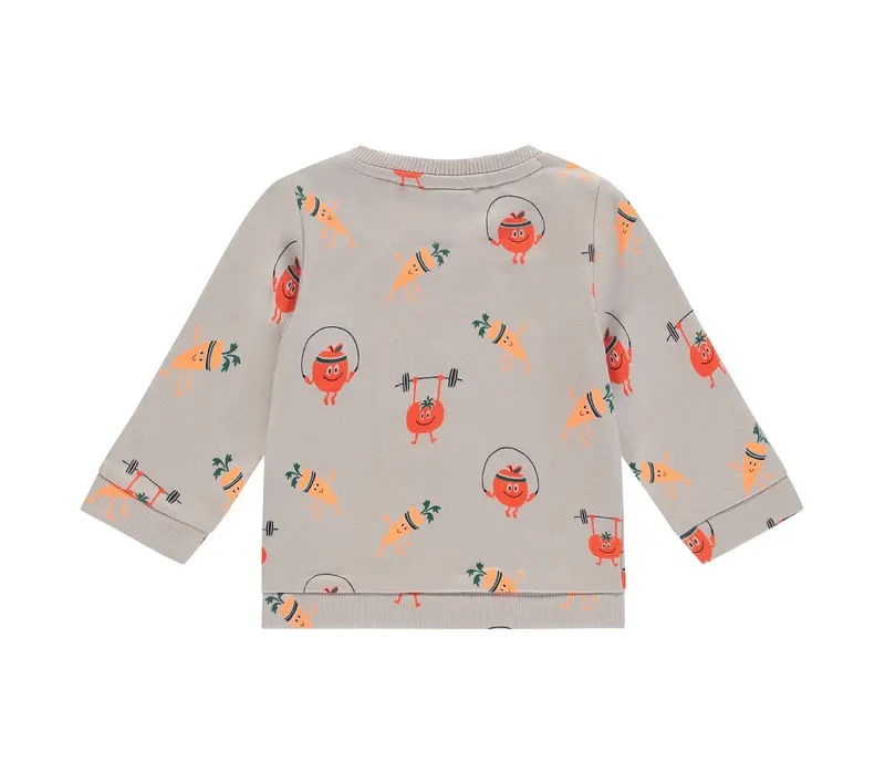 Babyface baby boys sweat shirt bone