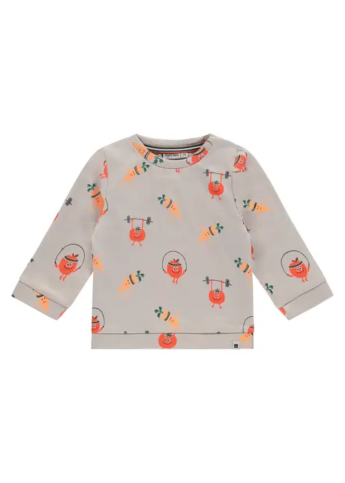 Babyface Babyface baby boys sweat shirt bone