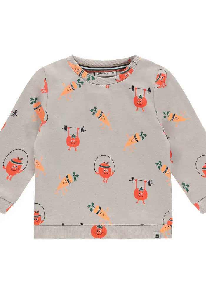 Babyface baby boys sweat shirt bone