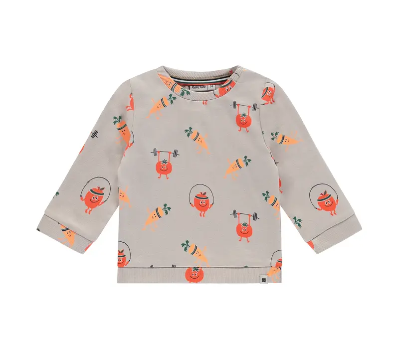 Babyface baby boys sweat shirt bone