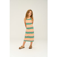 The New TNOhara S_L Rib Dress Multi Striped