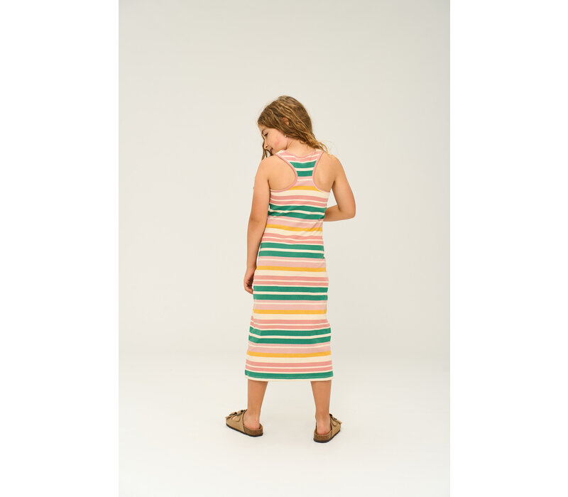 The New TNOhara S_L Rib Dress Multi Striped