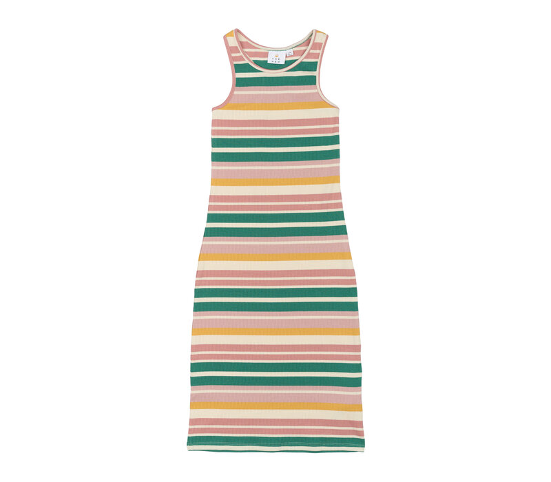 The New TNOhara S_L Rib Dress Multi Striped