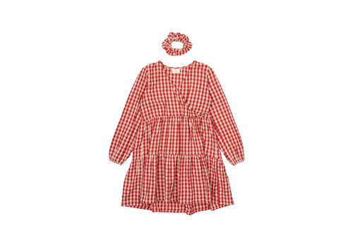 The New The New TNNally L_S Dress Poppy Red Check