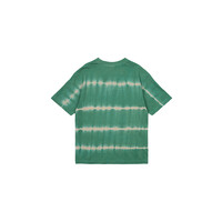 The New TNNorm OS S_S Tee Bottle Green