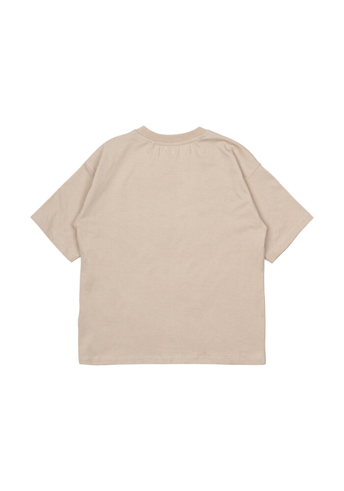 The New TNNocchci OS S_S Tee Feather gray